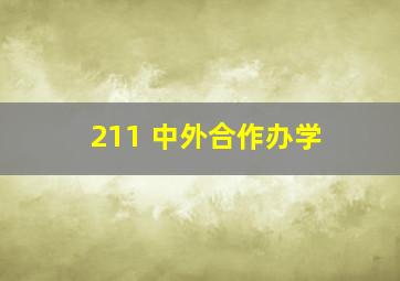 211 中外合作办学